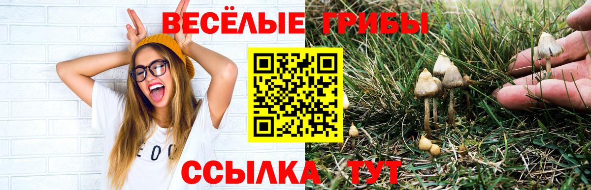 Галлюциногенные грибы Psilocybine cubensis  Вход с VPN  Воткинск 